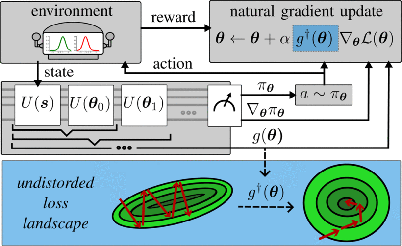 Quantum Natural Policy Gradients: Towards Sample-Efficient Reinforcement Learning
